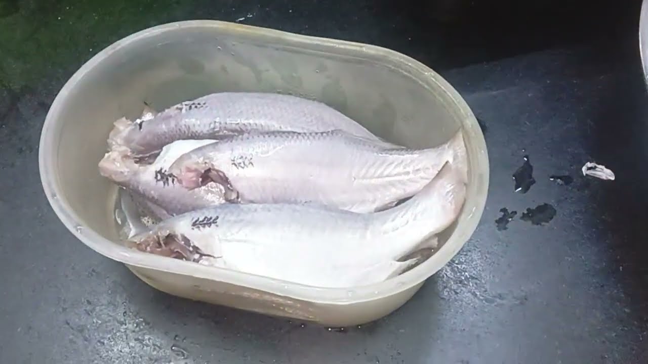 Rawas fish fry my stle 🤤 Tasty 🐟