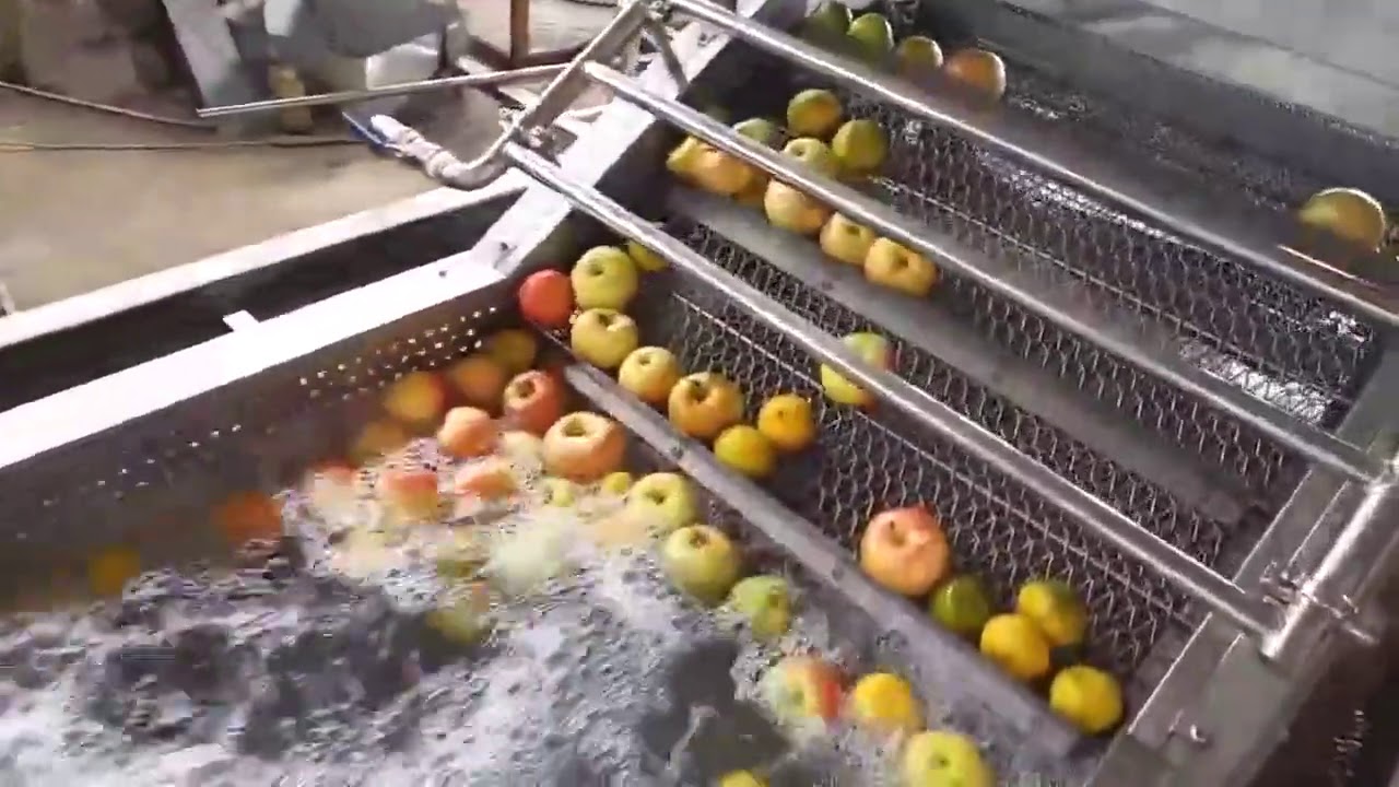 Fruit Vegetable Bubble Washing Machine with Wide Application