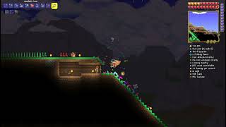 Terraria Fireworks Show Gone Wrong