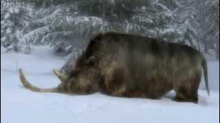 The End of the Woolly Rhino - Ice Age Giants - Episode 3 Preview - BBC