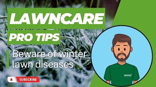 Beware of Winter Lawn Diseases | TruGreen Lawn Tips