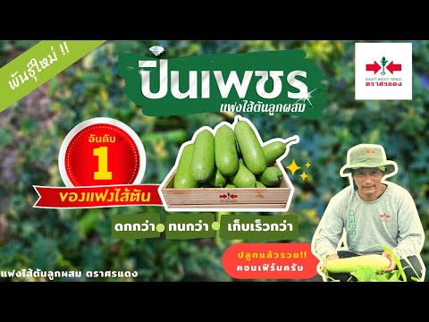 💎ปิ่นเพชร💎 แฟงพารวย✨ - ปลูกอะไรแล้วไม่รวยมาฟังทางนี้ !!! 🎉