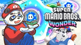 コンプ目指してだららら【スーパーマリオワンダー】