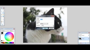 painting a cat in Paint net