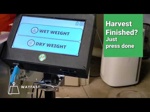 WayFast Harvest Demo - Canix Integration
