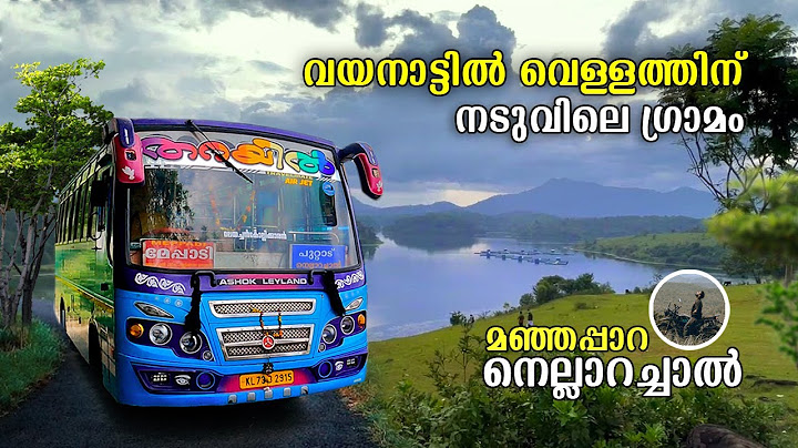 Wayanad Nellarachal View Point | വയനാട്ടിൽ വെള്ളത്തിന് നടുവിലെ ഗ്രാമം   | Wayanad  BusTrip | free20