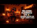 Relaxing Flamenco | Spanish Guitar for Study, Sleep & Chill