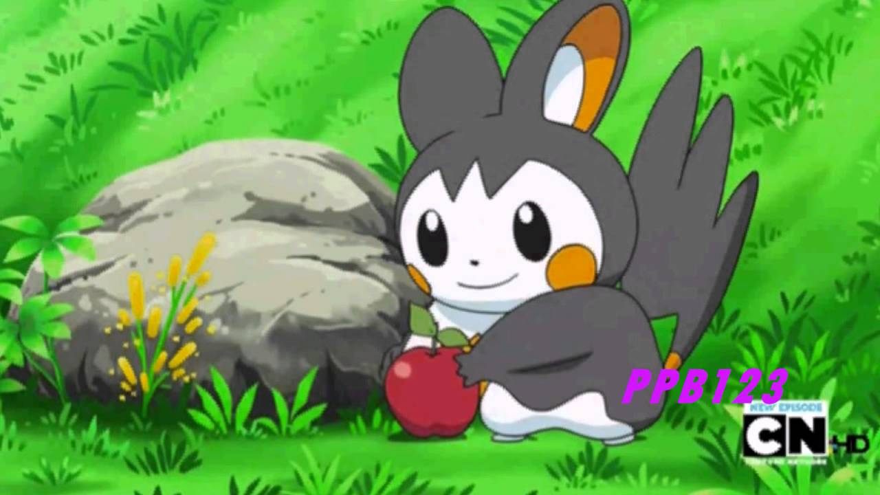 Emolga Amv- What The Hell pikachu pokemon