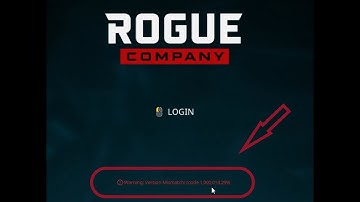 Rogue company version mismatch Login error (code 1,000,014,299)