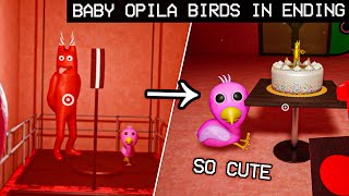 The Baby Opila Birds So Cute 🥺