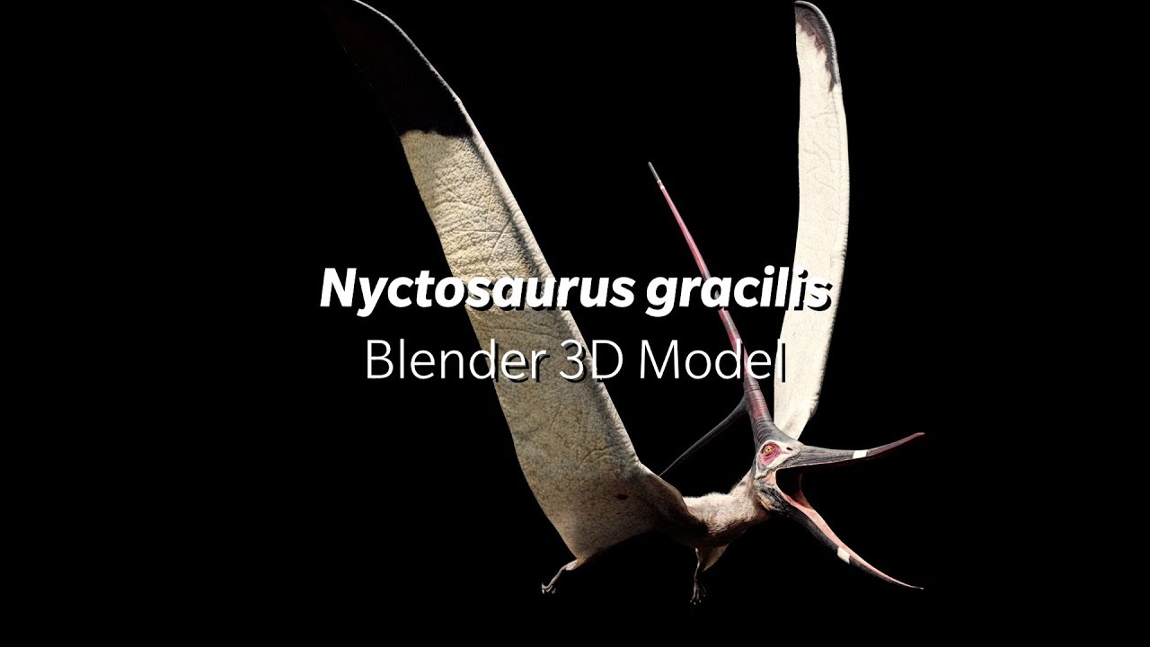 nyctosaurus gracilis