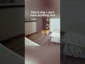 This is why I can’t have anything nice.#funny#dog