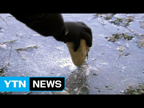 [날씨] 일요일 서울 -18℃...15년 만의 최강 한파 온다 / YTN