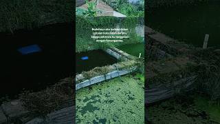 Download Lagu Cinta itu buta | Story WA | Story WA 2023 | Sad story #shorts #story #sad #viral #feedshorts MP3