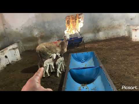 The Most Important Thing In Al Kassiba Is The Lookout 