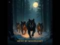 Hunt by Moonlight (Symphonic Viking Dark Folk Metal)