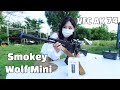 VFC AK74M X 스모키울프 Mini