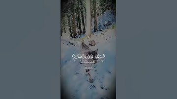 عينا فيها تسمى سلسبيلا ــــ سورة الانسان ــــ القارئ محمد اللحيدان ــــ تلاوة نادرة