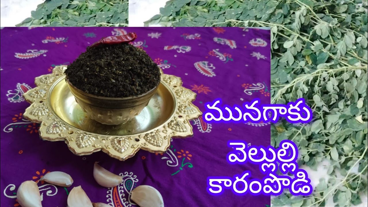 ఎన్నో వ్యాధులని నయం చేసే మునగాకు తో మునగాకు వెల్లుల్లి కారంపొడి  #shorts #shortvideo #viral 