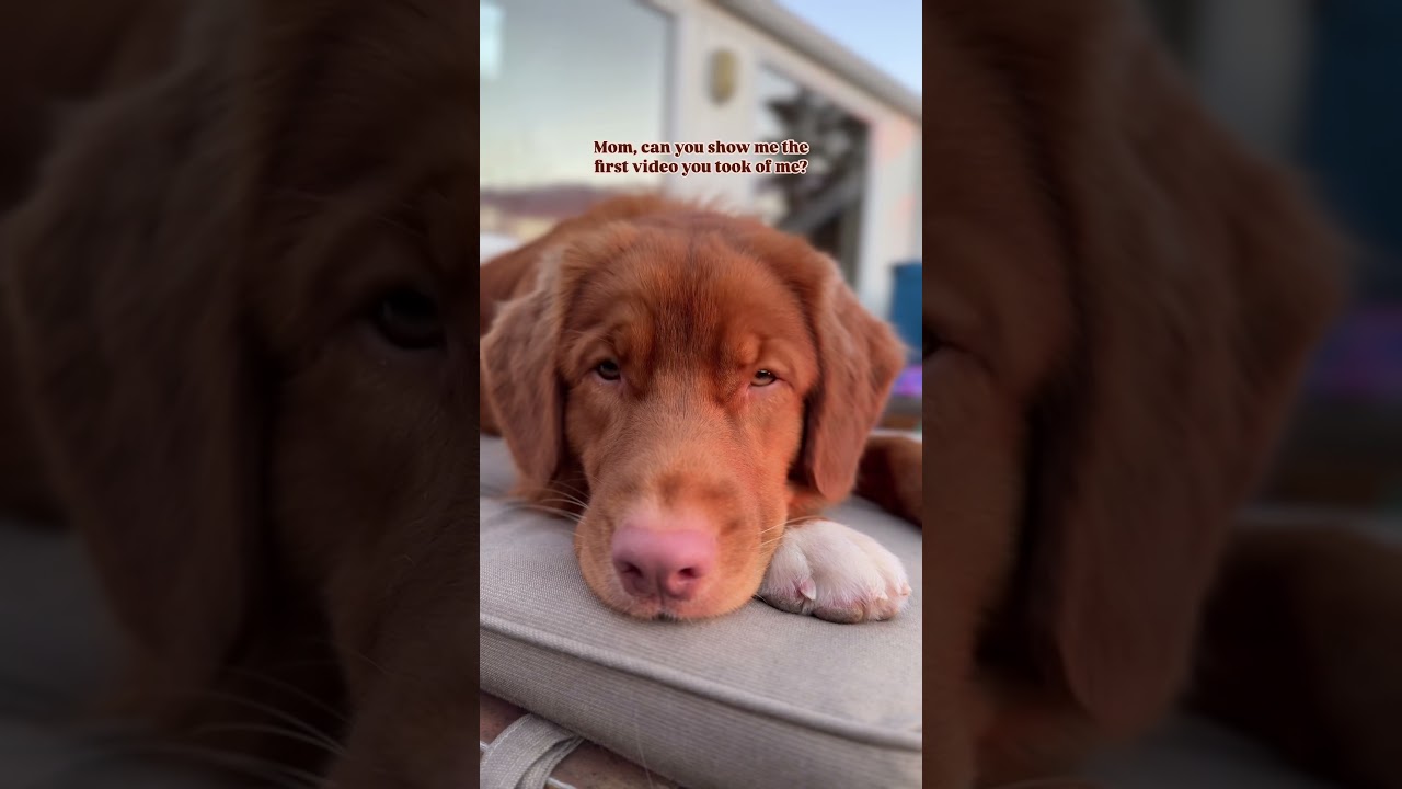 Time is a thief 😭 