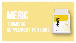 MERIC EXTRA – Advanced Turmeric Extract for Dogs