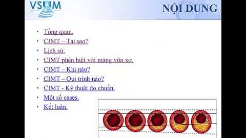 CIMT (Bs. Nguyễn Quang Trọng)