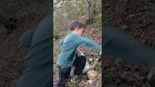 Fındığa Isyan Eden Giresun Uşağı 🥰😂 Resimi