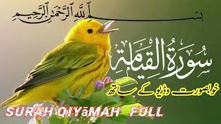 Surah qiyāmah ful||l by Amir Rasheed beautiful voice|| quran is clams|| سورۃ القیامہ