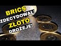 Kurs Złota Wzrośnie 8800%! Złoto Rośnie do Do Euro Dolara Euro Czy Kupić Złoto za Waluty w 2025