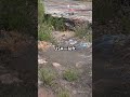 Top 10 Cities That Were Abandoned on Purpose