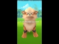 POKEMON GO: 16? SYDNEY (FACEGPS)