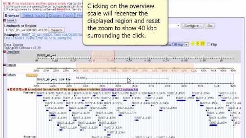 EuPathDB: GBrowse Overview