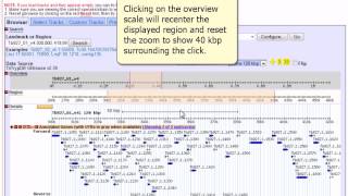 EuPathDB: GBrowse Overview