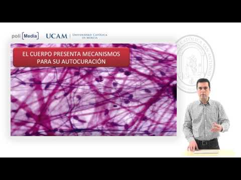 Osteopatía y terapia manual en la columna...-Principios Clásicos de la Osteopatía-Javier Meroño