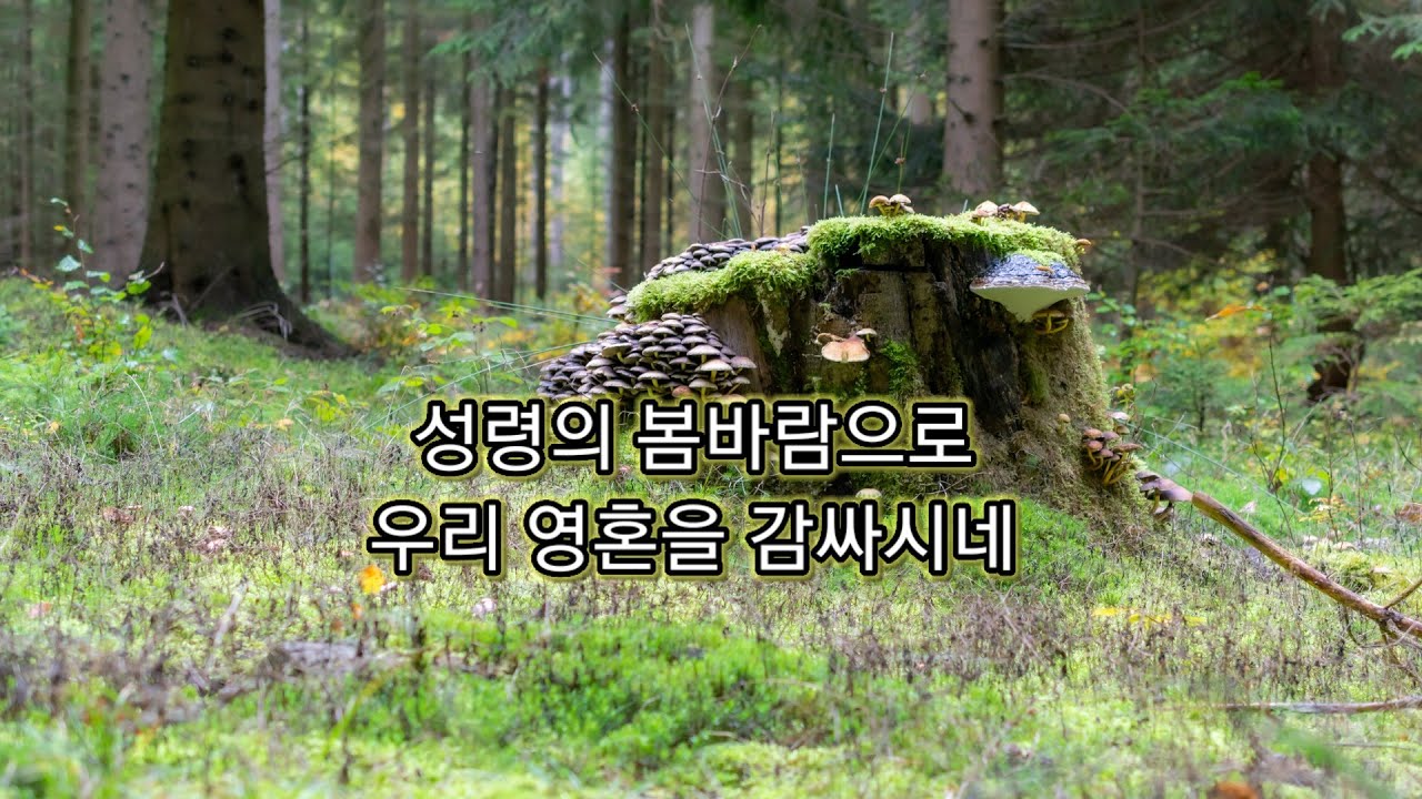 성령의 봄바람으로 부활을 기다리며 Waiting for Resurrection with the Spring Breeze of the Holy Spirit: 