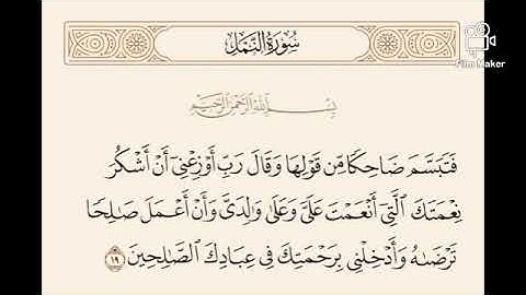 مقطع مما تيسر من سوره النمل / م ابراهيم البلتاجي