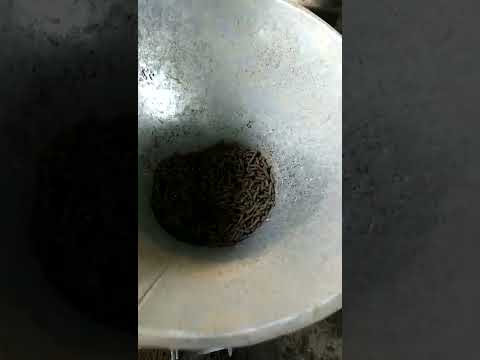 MD PEELET machine#