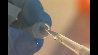 Famous All occurrence of Peter Thomas saying "Mitochondrial DNA" from Forensic Files Profile