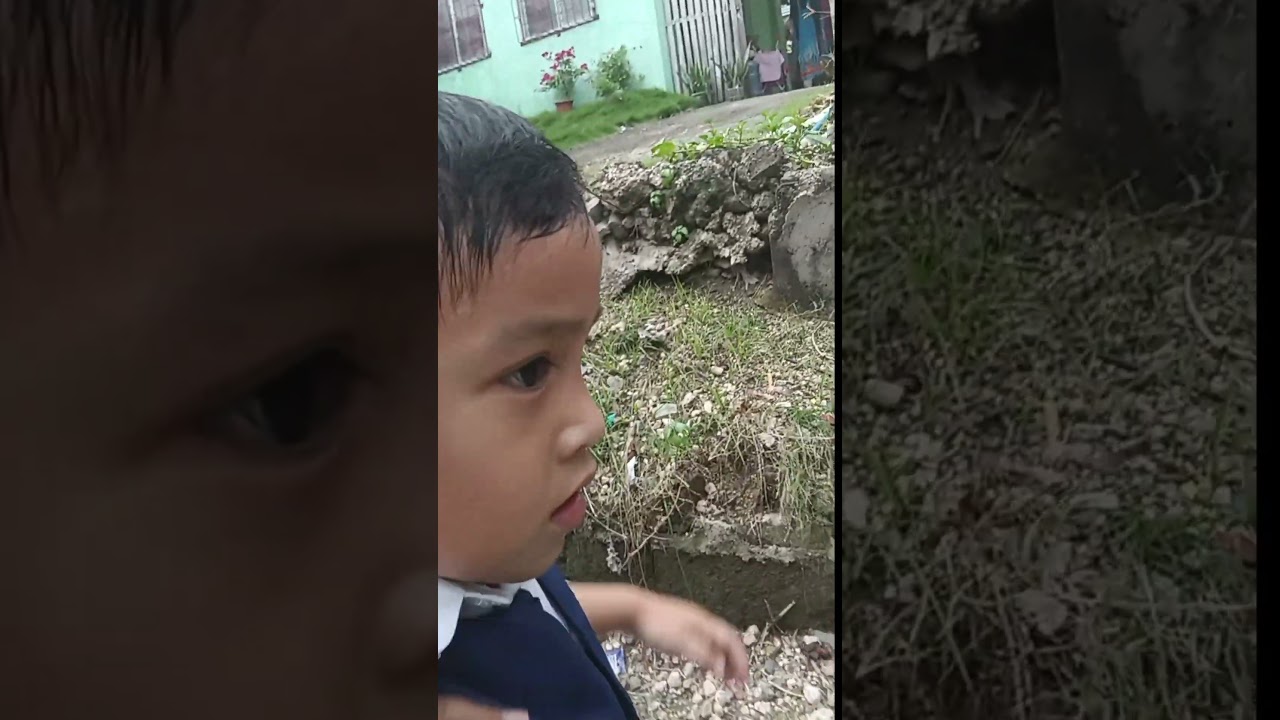 МЫ из школы 