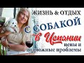 ПЕРЕЕЗД В ИСПАНИЮ. Сколько стоит жизнь в Испании с собакой? Цены в Испании 2021