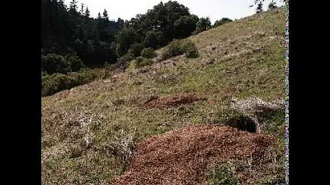 12 - Grassland - Habitat Tour
