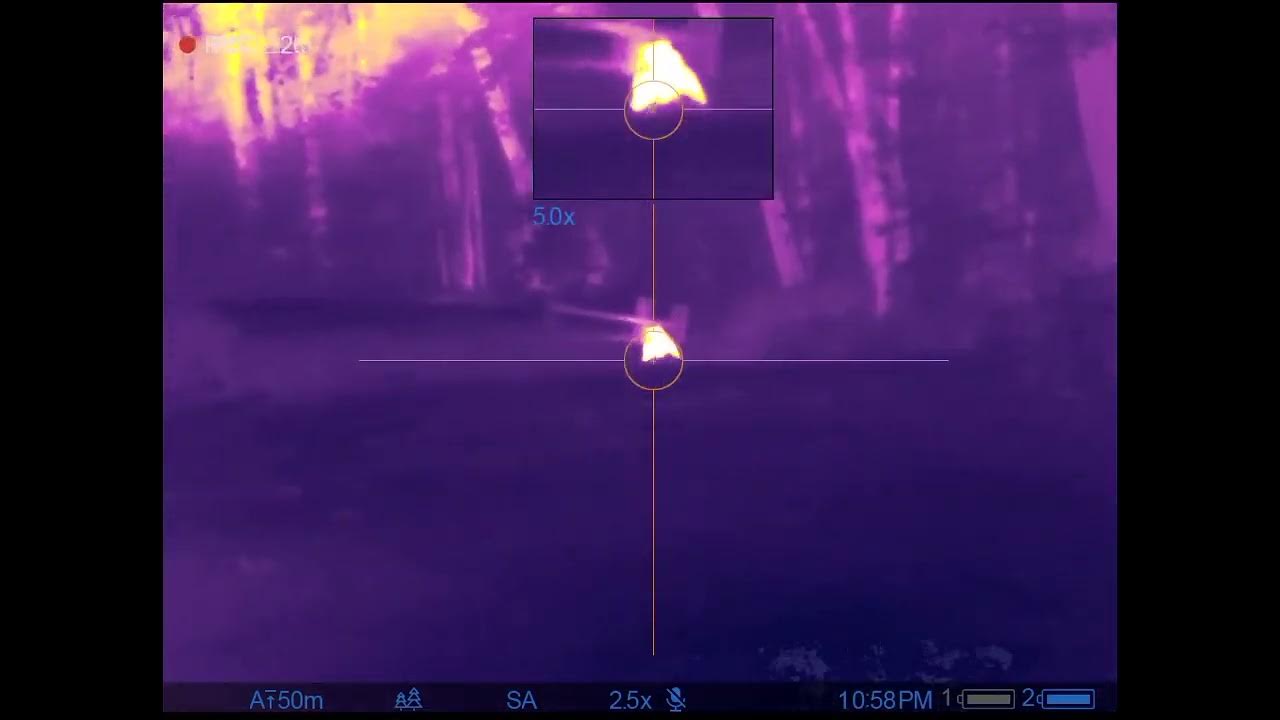 Pulsar XQ38 Pig Hunting YouTube pulsar-xq38-pig-hunting-youtube
