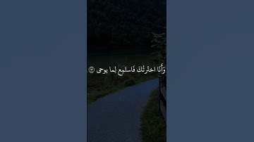 تلاوة جميلة من القارئ أحمد خضر #ayatulkursi #اكسبلور #islamicholybook #راحة_نفسية #islamic# quran