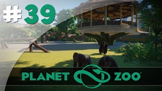 Gare au Gorille ! - #39 Planet Zoo