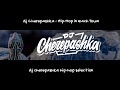 Dj cherepashka   hiphop in each town 2018