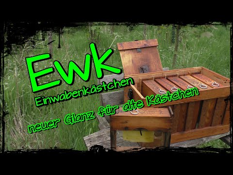 EWK Einwabenkästchen neuer Glanz für alte Kästchen