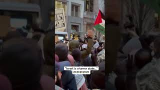 🇵🇸 New York Pro Palestinian Protest