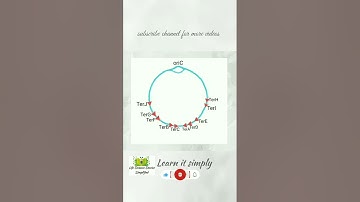 DNA Replication in Prokaryotes | Termination part3 | Tus-Ter complex | csir net life science