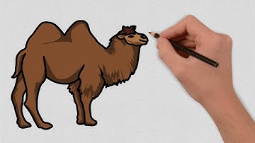 How to draw a Camel Step by Step | Easy Camel Drawing Lesson | Drawing Tutorial