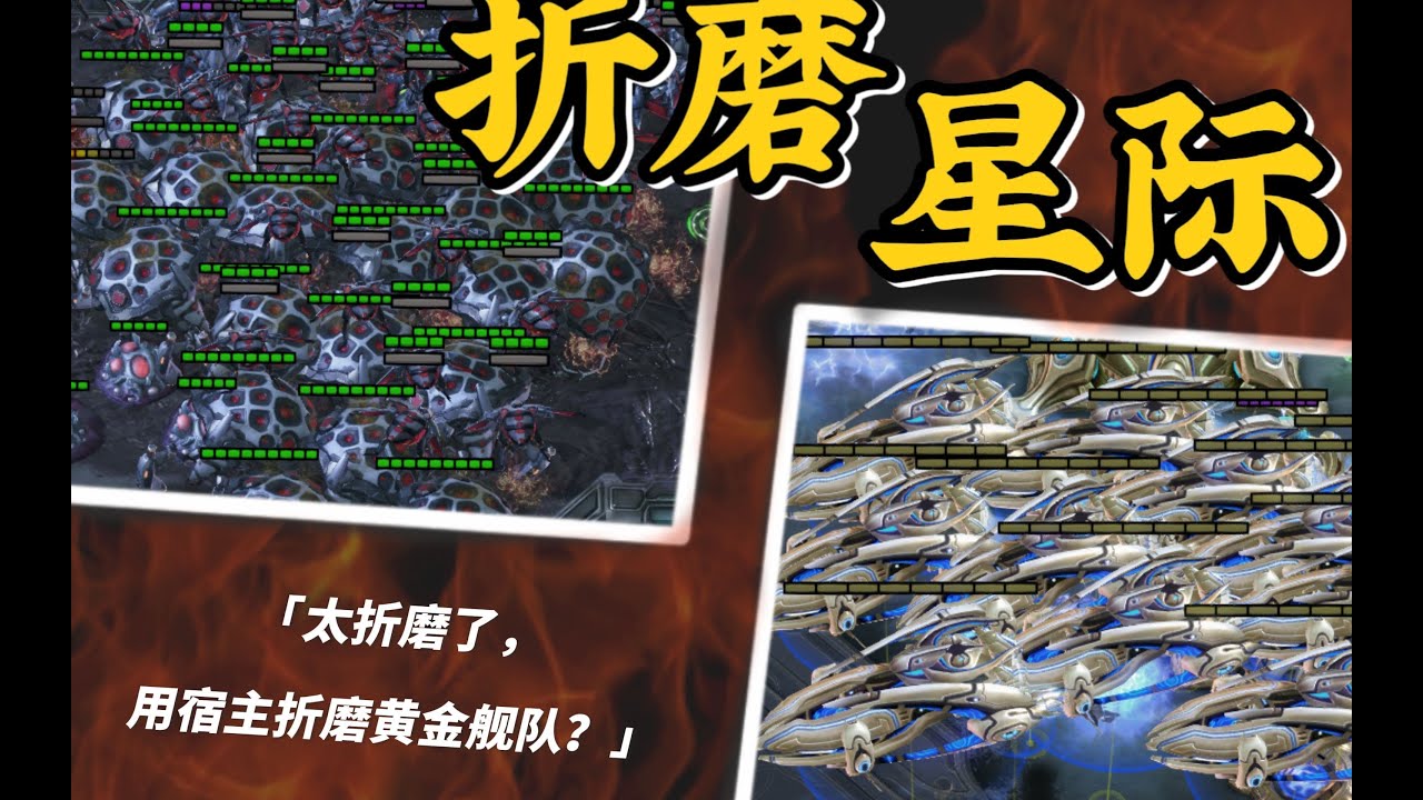 『小金讲星际12』太折磨了！折磨星际vs黄金舰队！哪个兵种组合狗看了都搖頭？